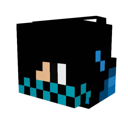 Reegan2000 Minecraft avatar head, 3D render