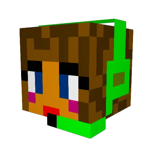 Reegs101 Minecraft avatar head, 3D render