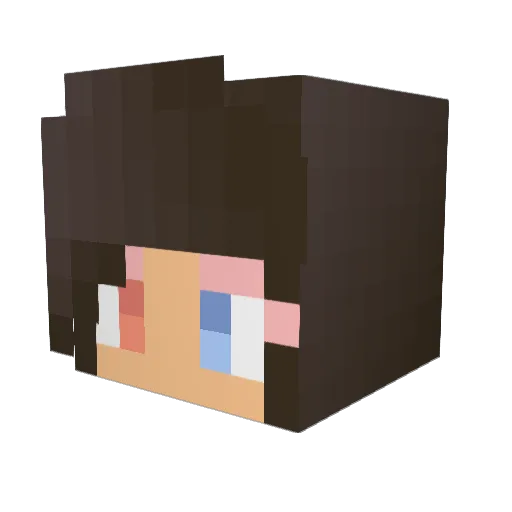 Reeh_ Minecraft avatar head, 3D render