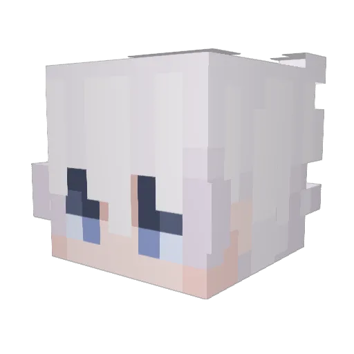 Reei1 Minecraft avatar head, 3D render