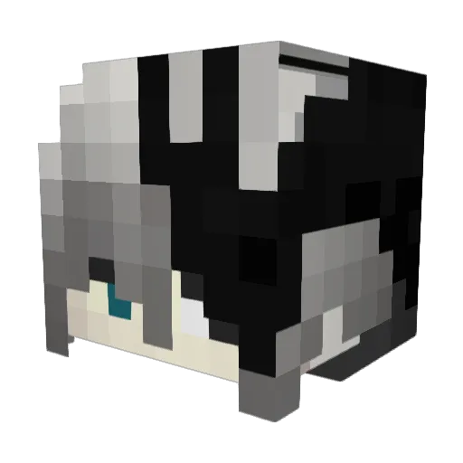 Reekid12 Minecraft avatar head, 3D render