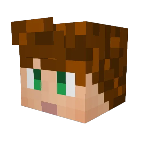 Reekreeks Minecraft avatar head, 3D render