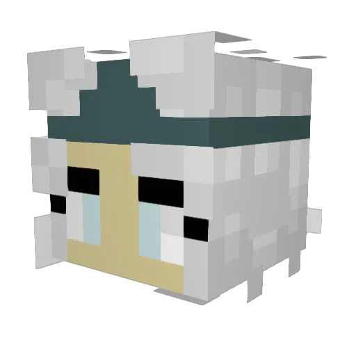Reeks18 Minecraft avatar head, 3D render