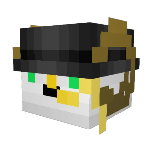 ReeledBand_ Minecraft avatar head, 3D render