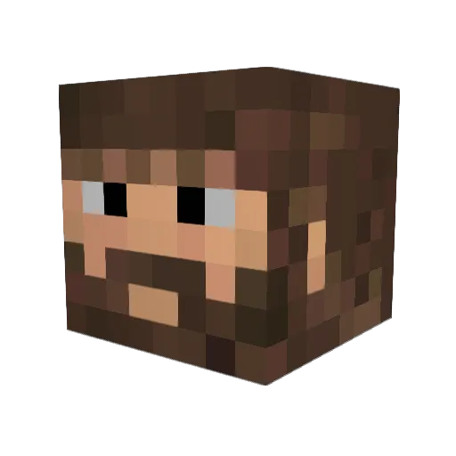 ReeledMender971 Minecraft avatar head, 3D render