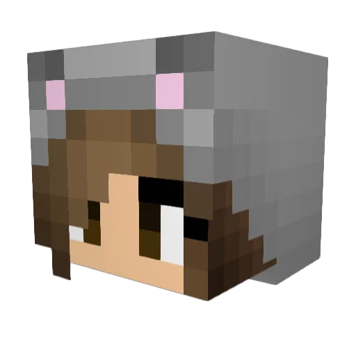 Reemsalhi2003 Minecraft avatar head, 3D render