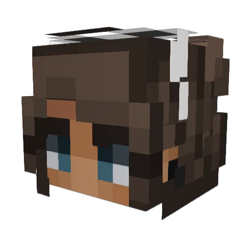 ReenRice Minecraft avatar head, 3D render