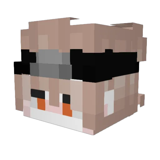 ReenaBean Minecraft avatar head, 3D render