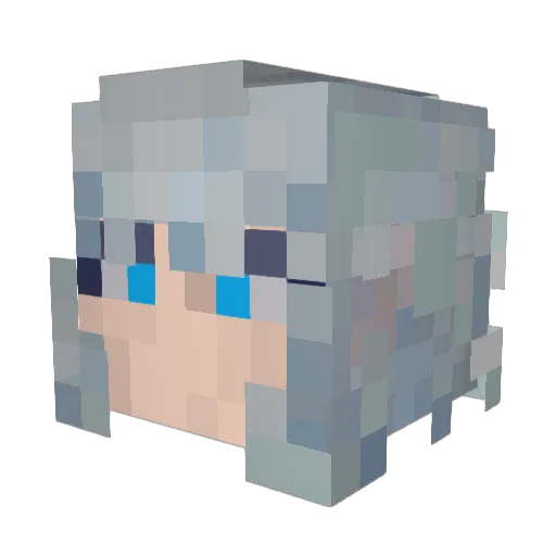Reenko09 Minecraft avatar head, 3D render
