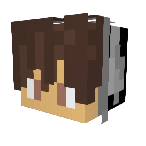 Reeps47 Minecraft avatar head, 3D render
