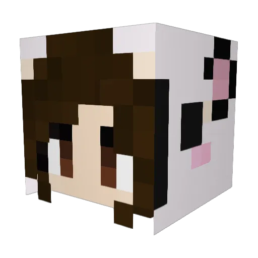 Reepsweep Minecraft avatar head, 3D render
