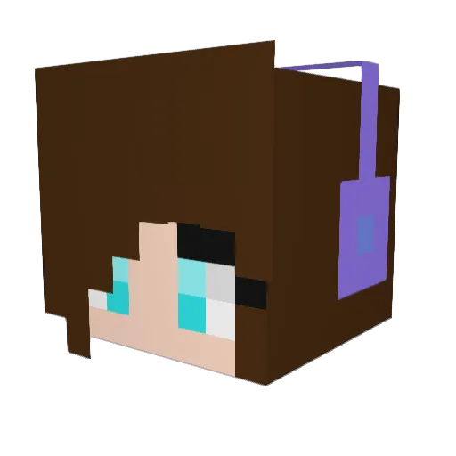 Reese1000 Minecraft avatar head, 3D render
