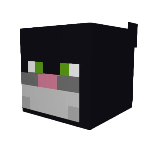 ReeseC111 Minecraft avatar head, 3D render