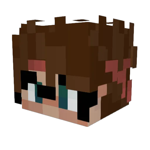 ReeseF101 Minecraft avatar head, 3D render