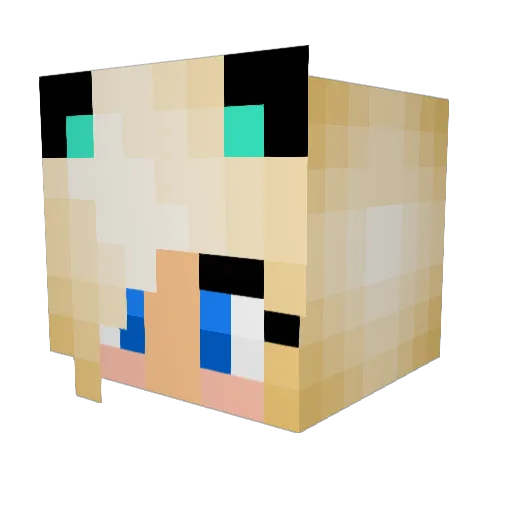 ReeseLambe Minecraft avatar head, 3D render