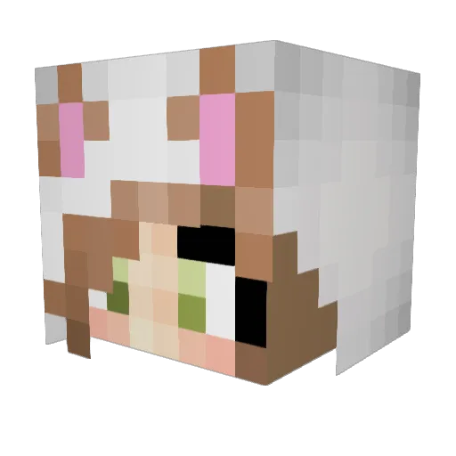 ReesePiecey Minecraft avatar head, 3D render