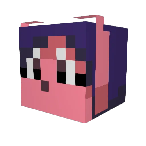 ReeseRivers Minecraft avatar head, 3D render