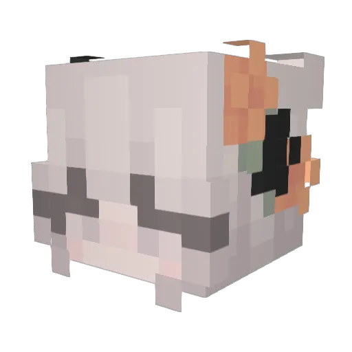 Reesedoyle Minecraft avatar head, 3D render