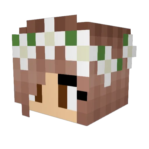Reesegray06 Minecraft avatar head, 3D render