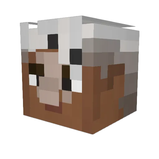 ReesieIRL Minecraft avatar head, 3D render