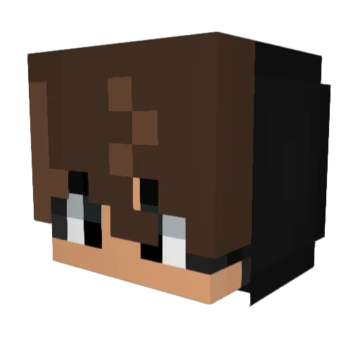 Reetuu Minecraft avatar head, 3D render