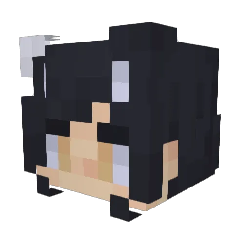Reeyous Minecraft avatar head, 3D render