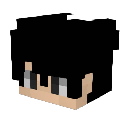 Reezee_ Minecraft avatar head, 3D render