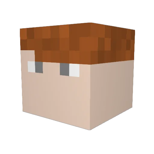 Ref1eX1 Minecraft avatar head, 3D render