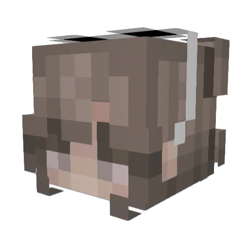 Refegaa Minecraft avatar head, 3D render