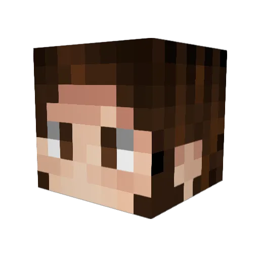 Refhx Minecraft avatar head, 3D render