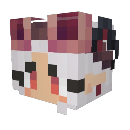 Reficul3 Minecraft avatar head, 3D render