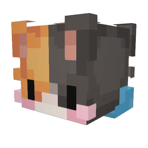 Refig Minecraft avatar head, 3D render