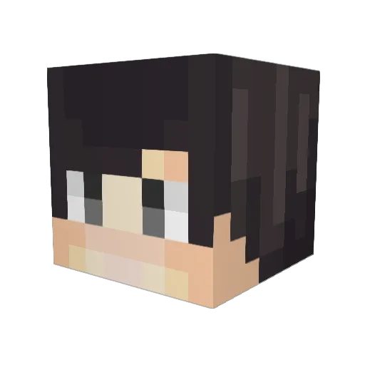Reflating Minecraft avatar head, 3D render