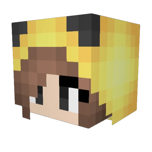 Reflexok Minecraft avatar head, 3D render