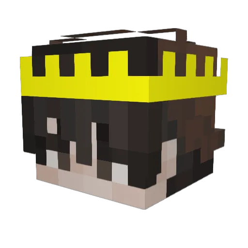 Reflexxbtw Minecraft avatar head, 3D render