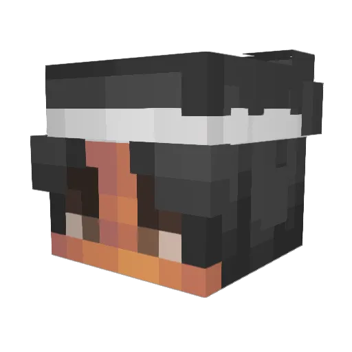 Reflox Minecraft avatar head, 3D render