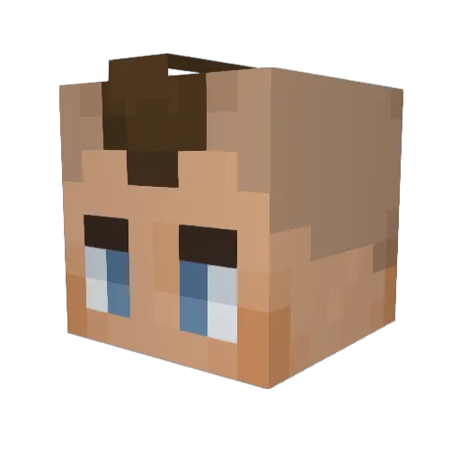 RefluxMC Minecraft avatar head, 3D render