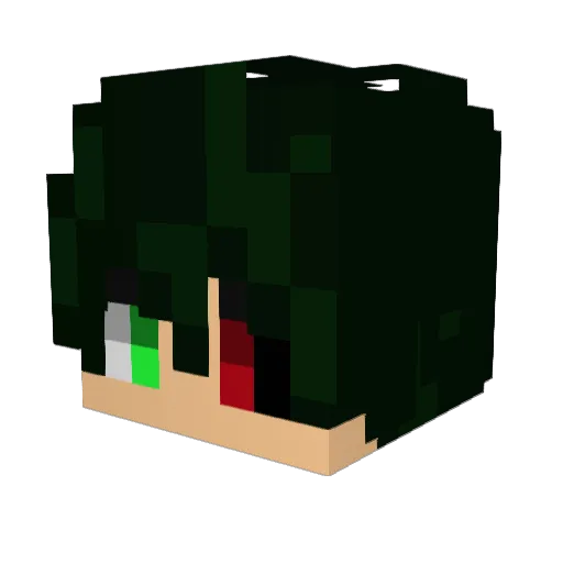 Reflyky Minecraft avatar head, 3D render