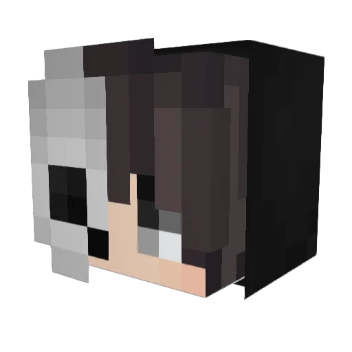 ReformedNight Minecraft avatar head, 3D render
