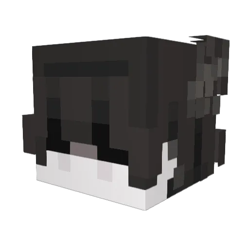 Refounder Minecraft avatar head, 3D render