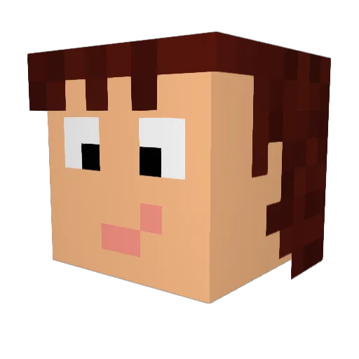 Refraction101 Minecraft avatar head, 3D render