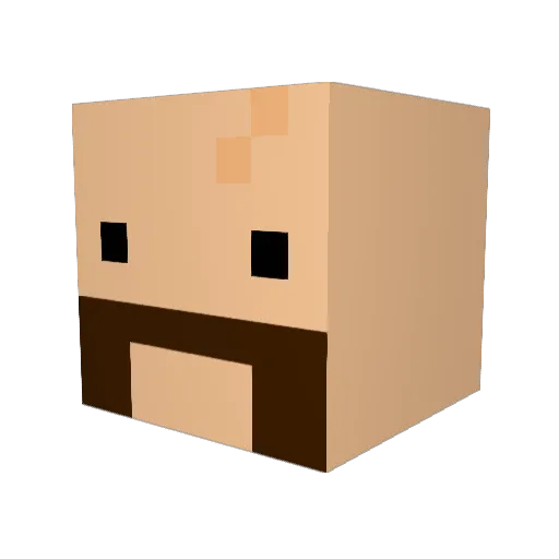 Refragment Minecraft avatar head, 3D render