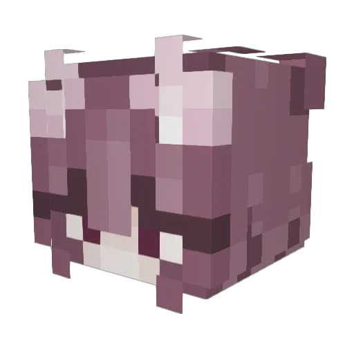 RefrainPlease Minecraft avatar head, 3D render