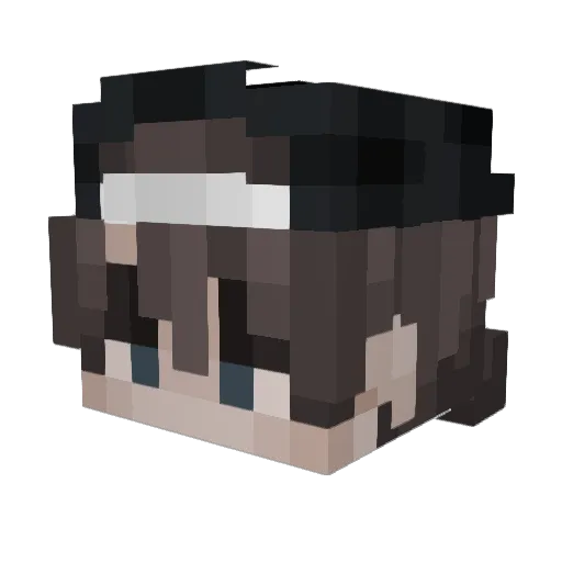 Refrect Minecraft avatar head, 3D render