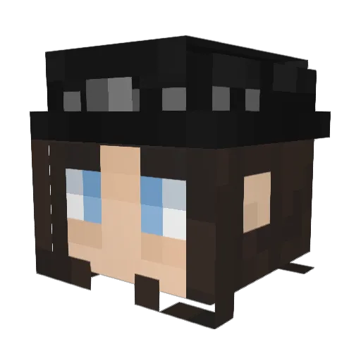 Refrigerated Minecraft avatar head, 3D render