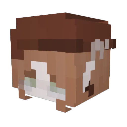 Refsirlot97 Minecraft avatar head, 3D render