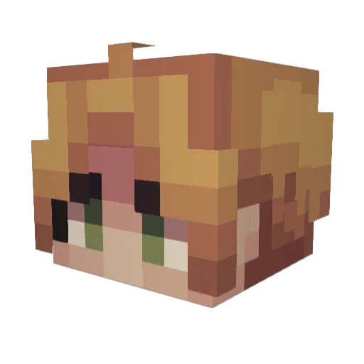 RefuNashe Minecraft avatar head, 3D render