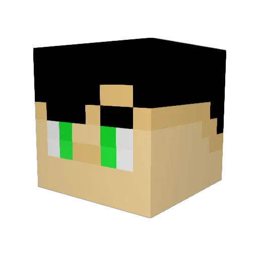 Refumagate Minecraft avatar head, 3D render