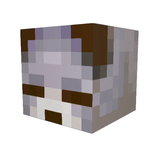 RegalNin07 Minecraft avatar head, 3D render