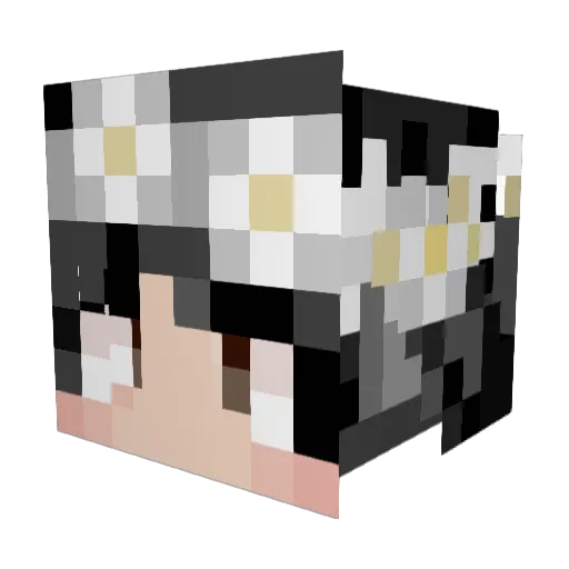 RegalReign Minecraft avatar head, 3D render